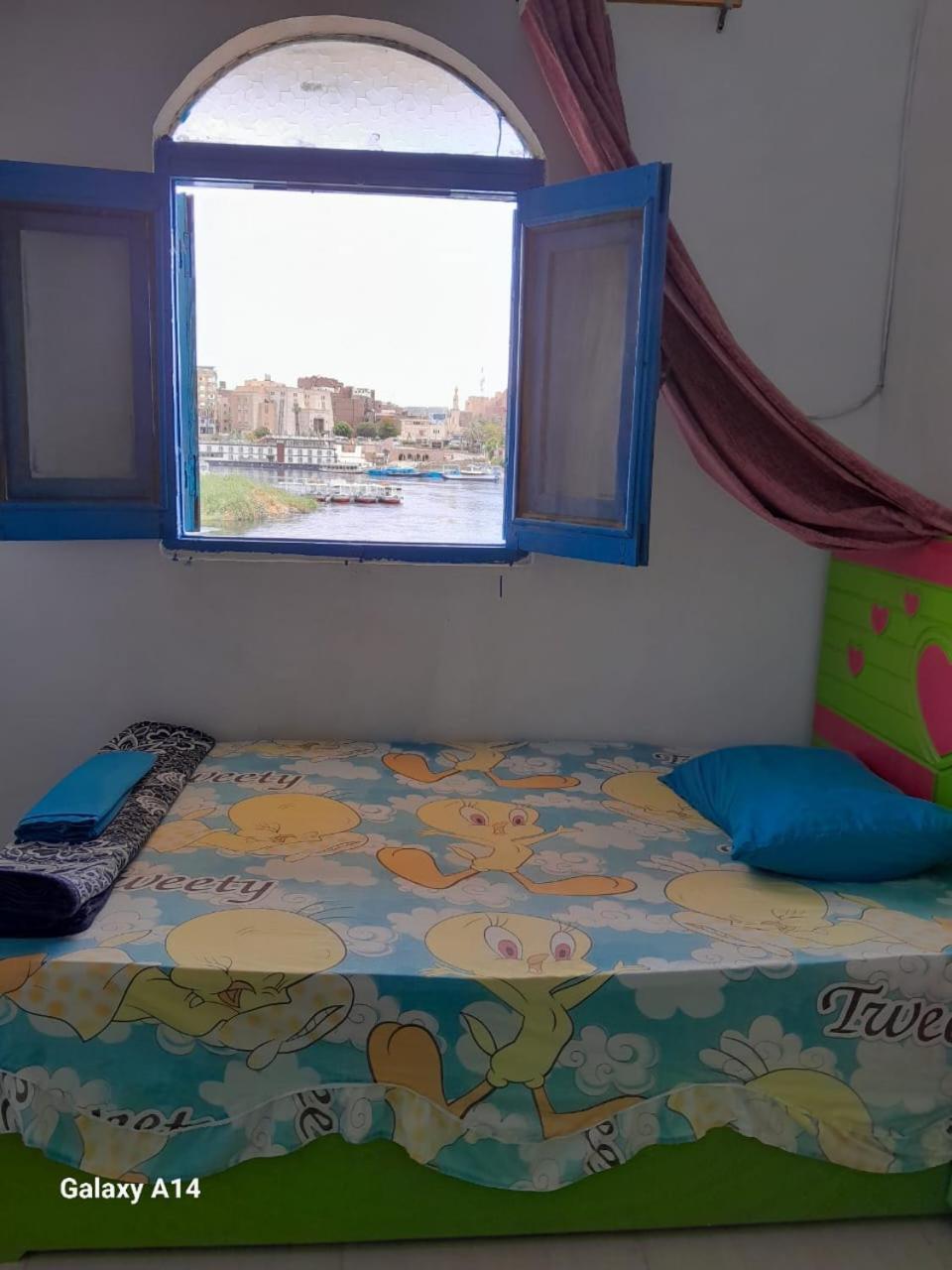Готель Nile View Rana Nubian Guest Houes Асуан Екстер'єр фото